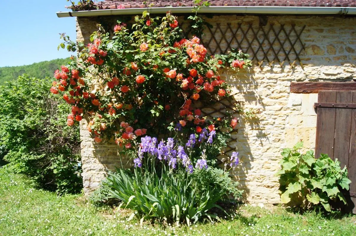 Villa La Baraka Léobard